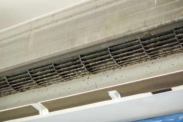 Best Home Air Vent Cleaning  in Greens Farms, CT